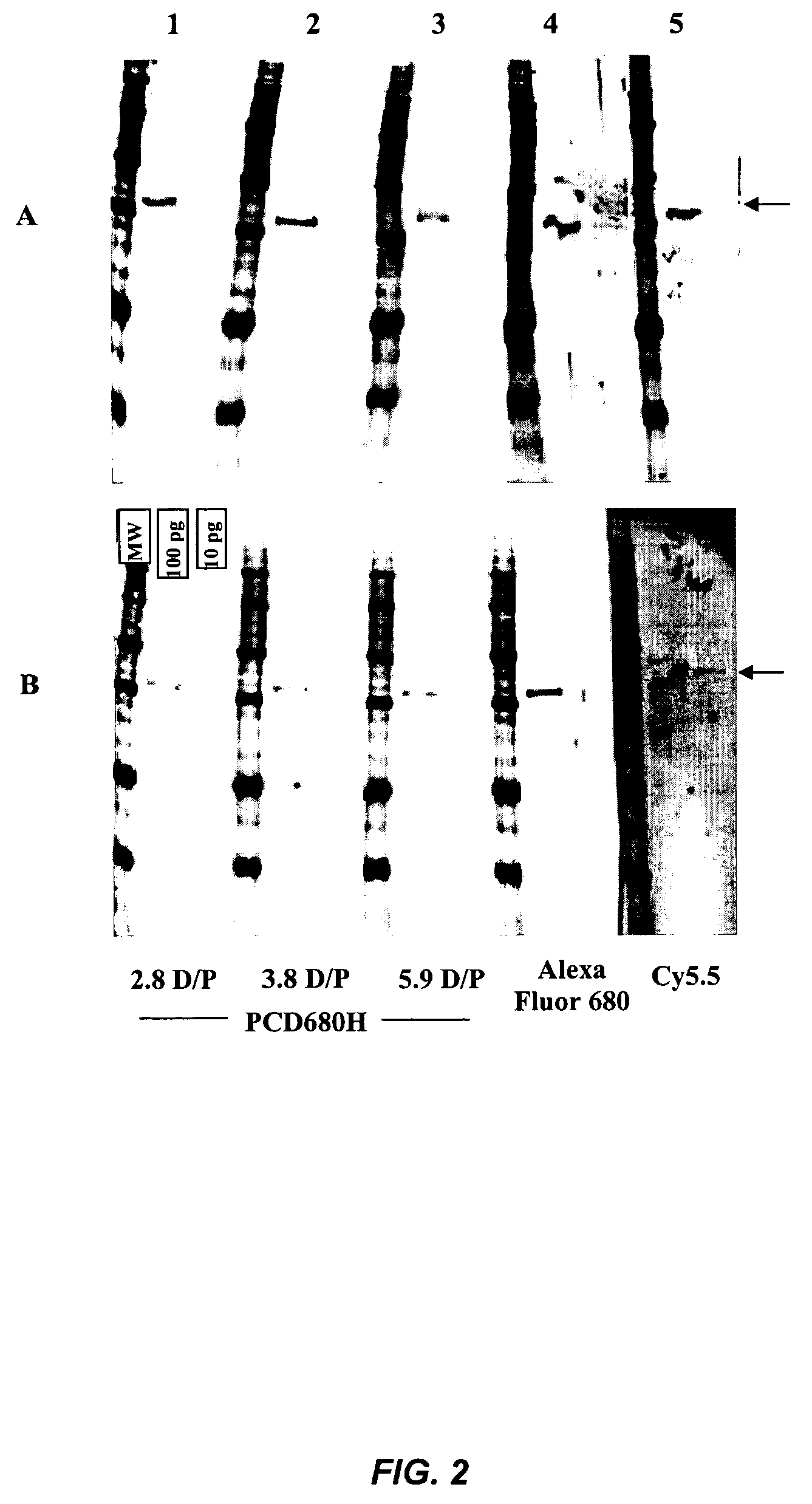 Phthalocyanine dyes