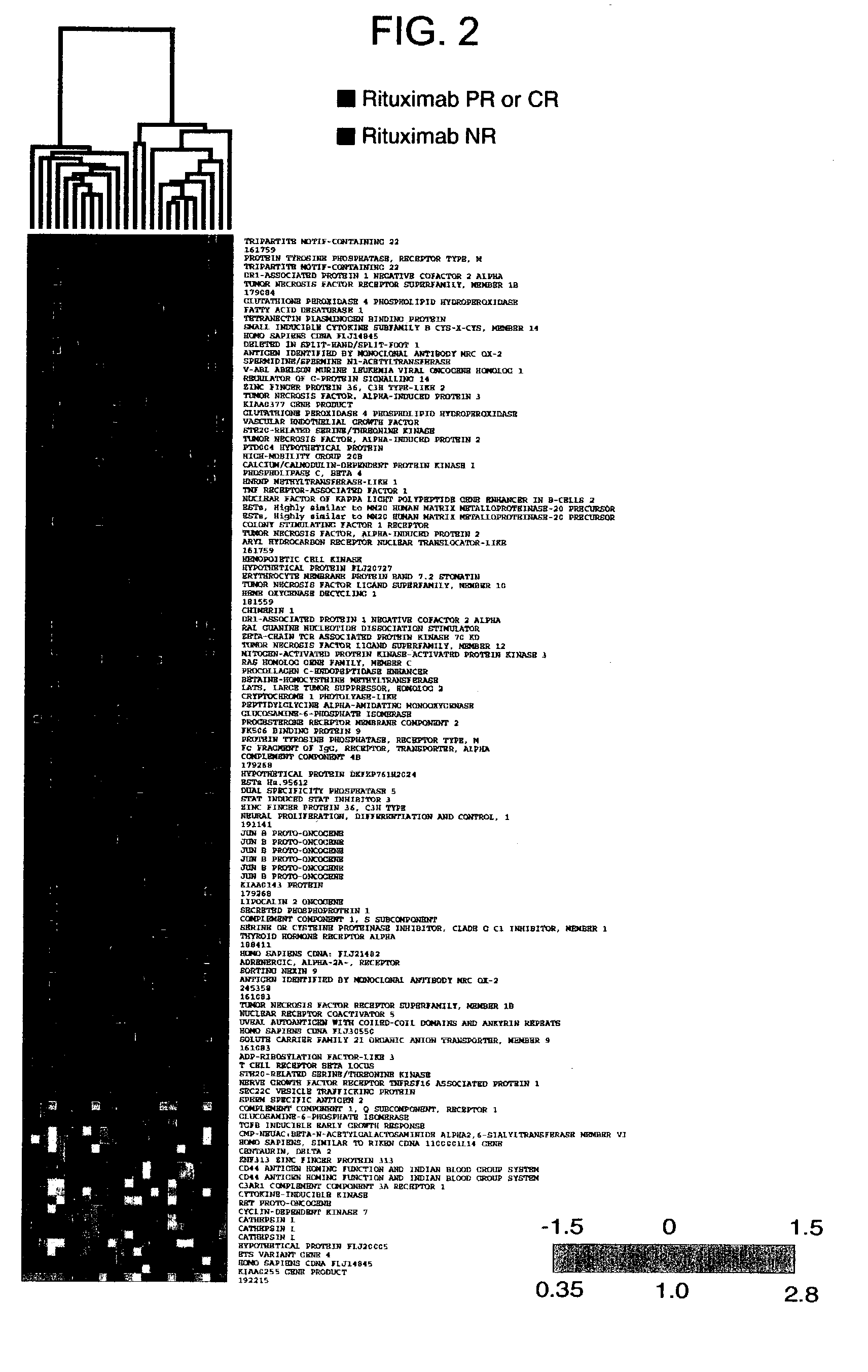 Methods and compositions for determining neoplastic disease responsiveness to antibody therapy