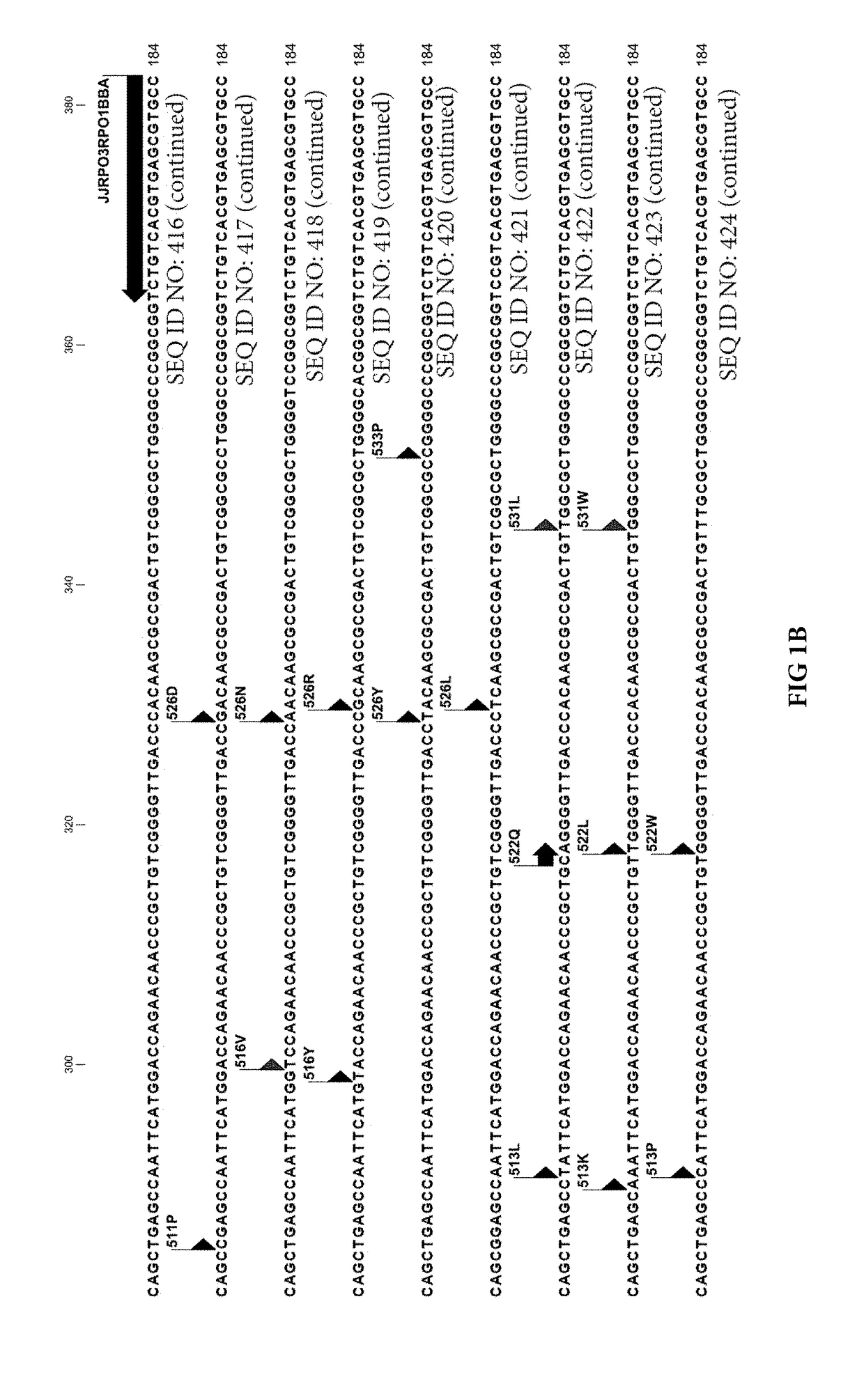 Compositions and methods for detection of drug resistant mycobacterium tuberculosis