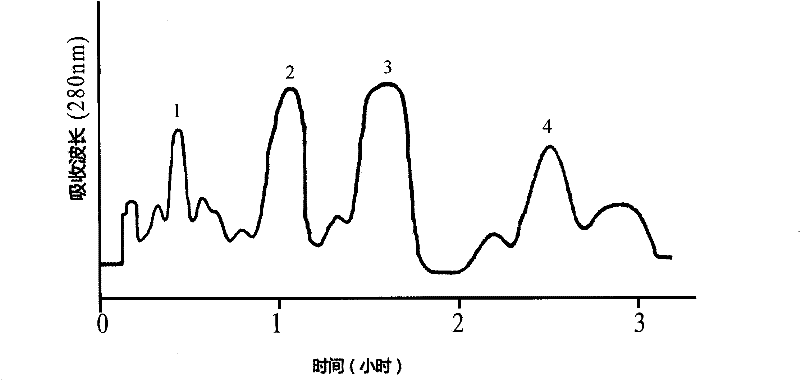 Chinese magnoliavine fruit monomer composition separation preparation method