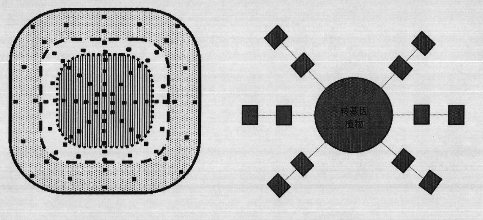 Method for evaluating influence of environmental single factor on transgene plant gene flow