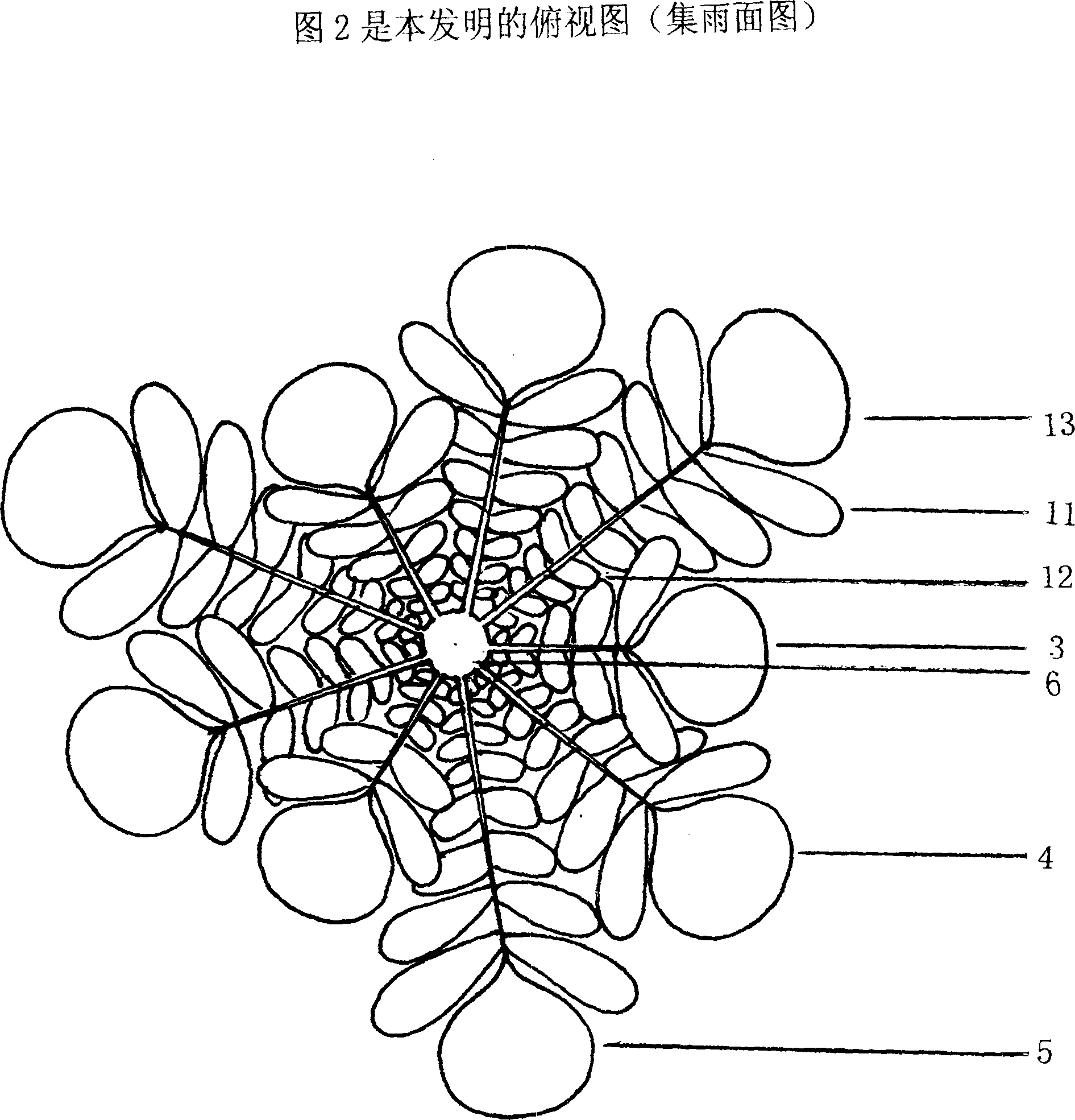 Rain-collection and artificial water-conpensation and water-saving seepage irrigation device