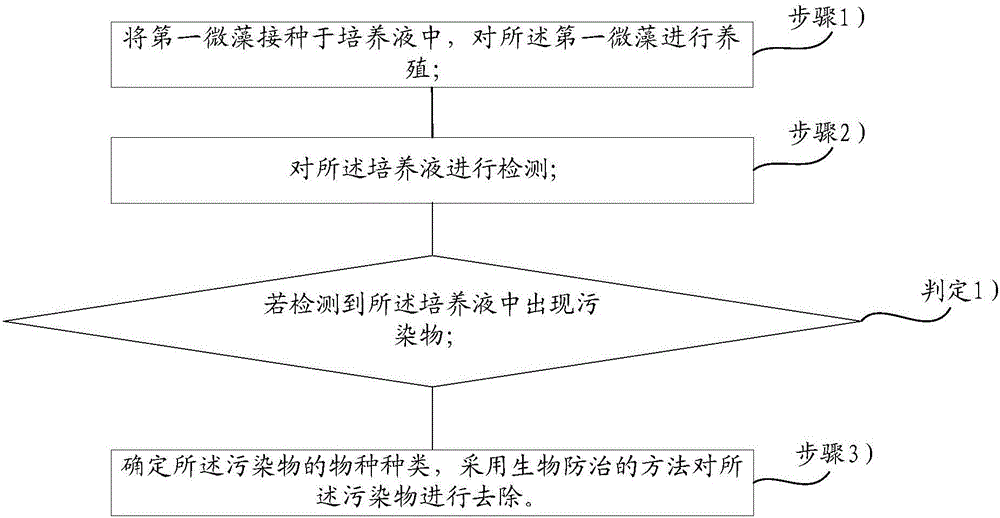 Method for treating pollution in microalgae culture process