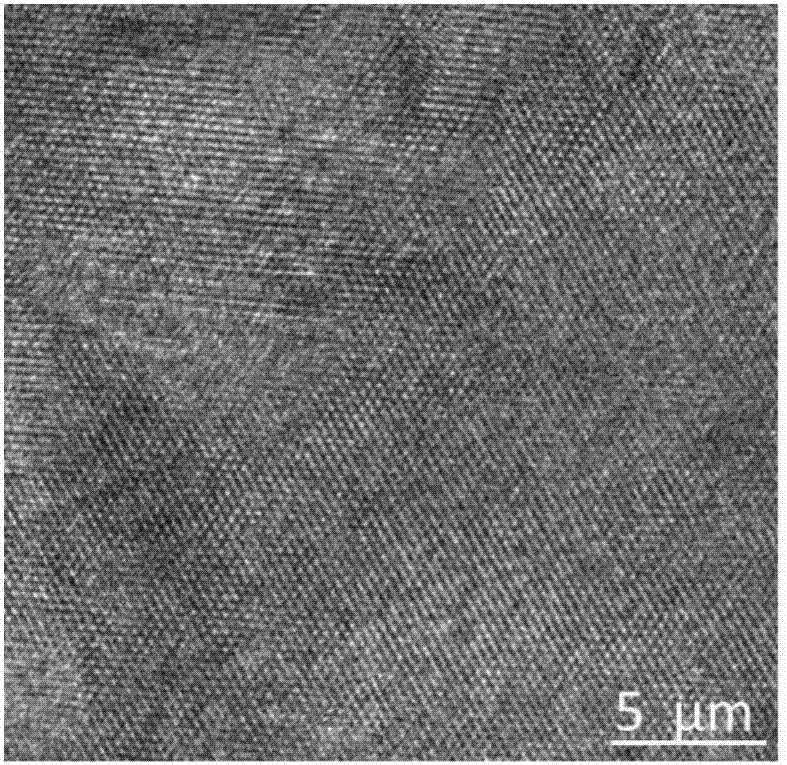 Method for preparing nitrogen-doped carbon adsorbents for adsorbing CO2