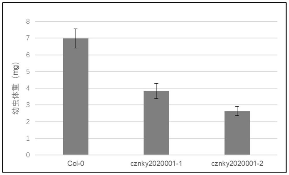 Plant endogenous gene influencing feeding of lepidoptera insects and protein of plant endogenous gene