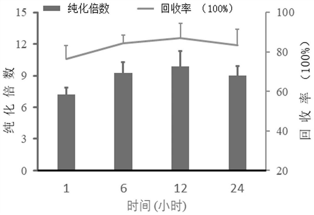 Recombinant superoxide dismutase as well as construction method and application thereof