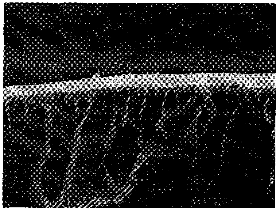 Asymmetrical polyvinyl chloride dry-wet reversible ultrafiltration/microfiltration membrane, preparation method and application thereof