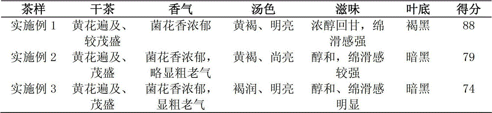 Method for producing eurotium cristatum tea by utilizing fresh tea tree leaves