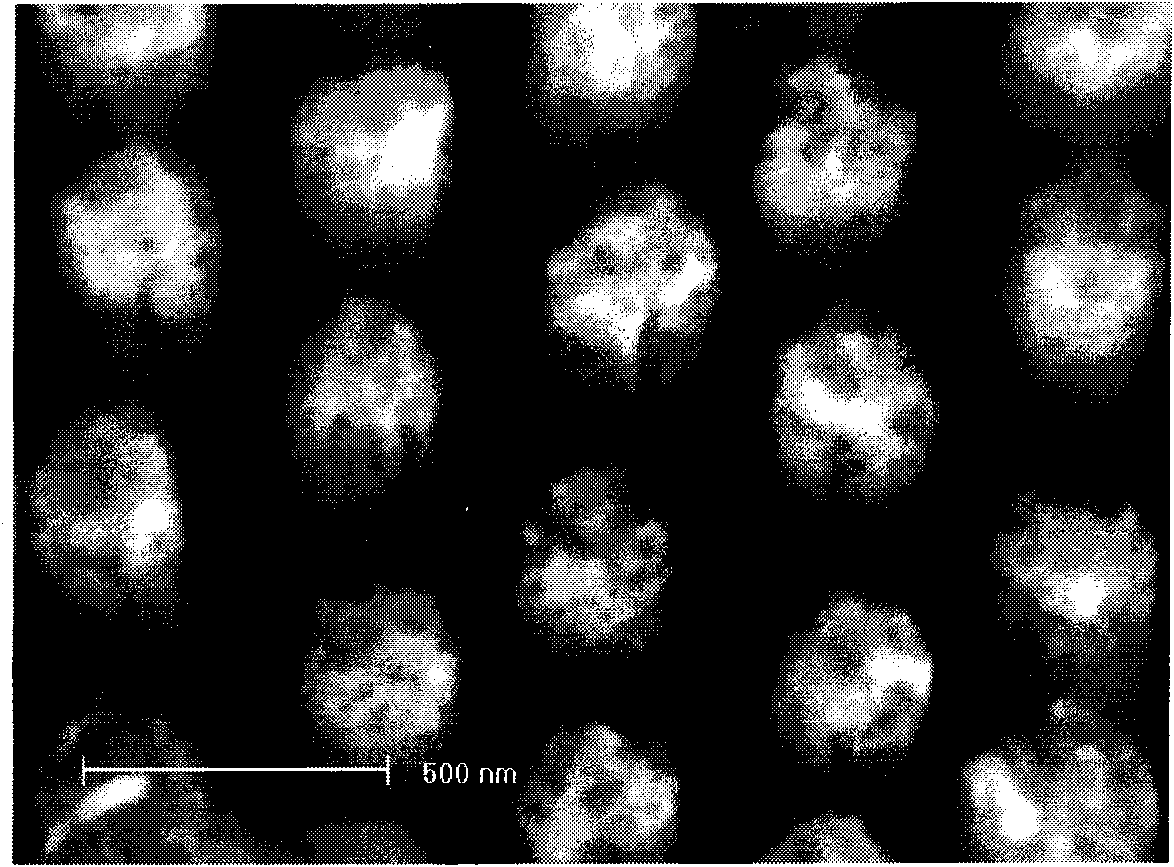 Preparation technology of multi-purpose silicon micro-nano structure