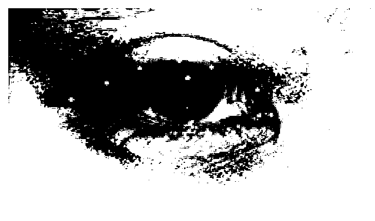 Eye image processing method based on image editing