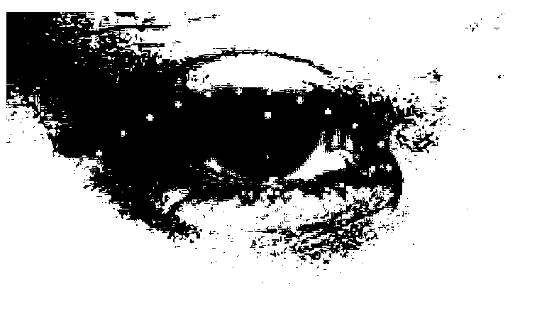 Eye image processing method based on image editing