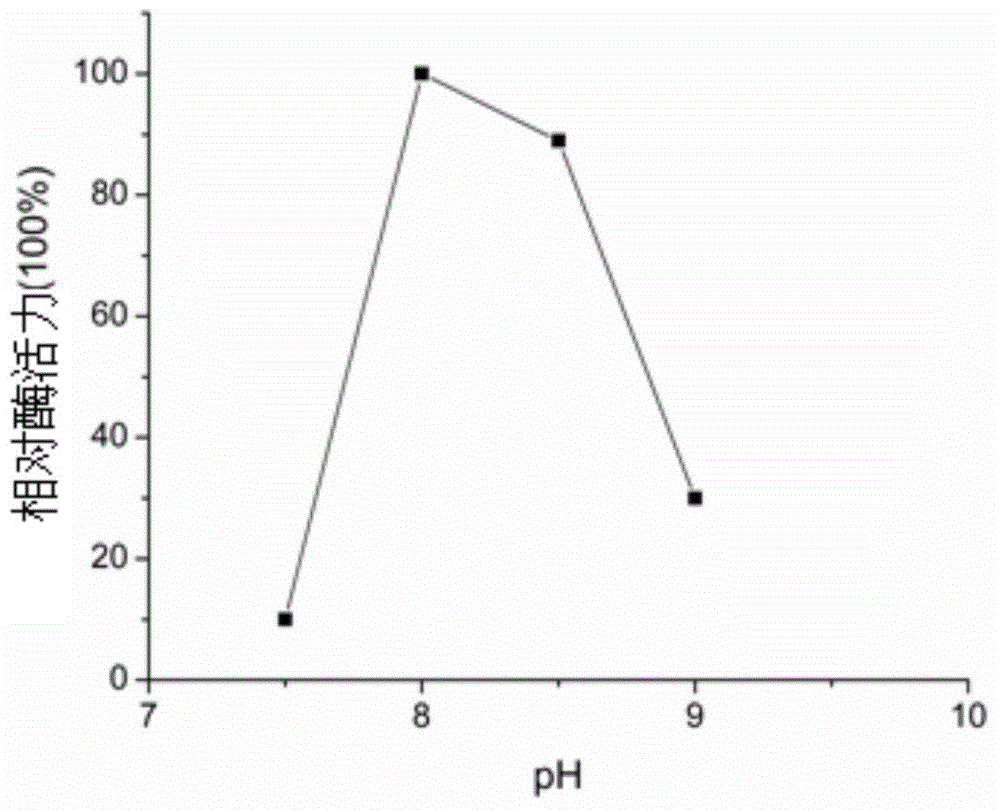 Aureobasidium pullulans malate-CoA ligase as well as recombinant expression vector and application thereof