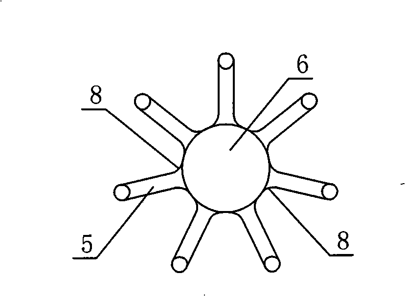 Temperature field adjustable type high efficiency burnt gas pulsating combusting device