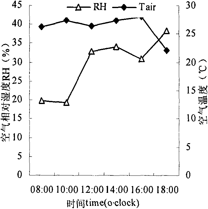 Method for regulating and controlling ecological photosynthesis of tall fescue by adopting fine garbage compost