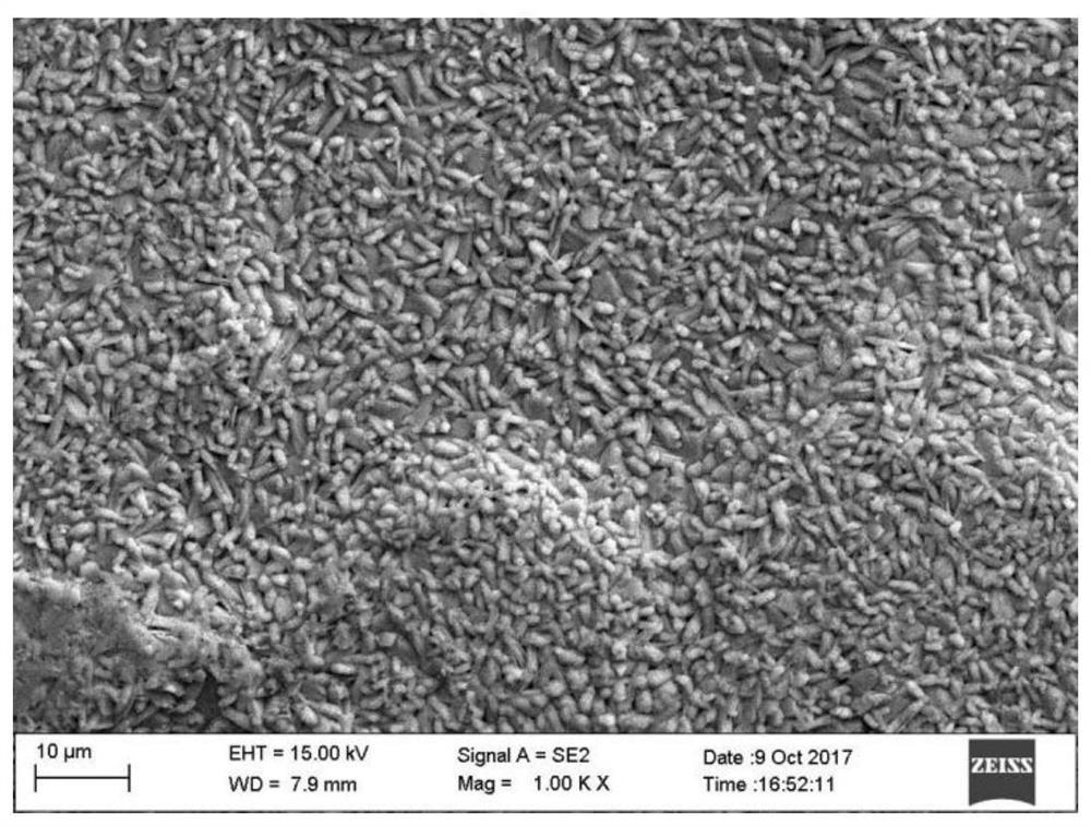 A laboratory simulating phosphating method for the production line of quenched steel plates for automobiles