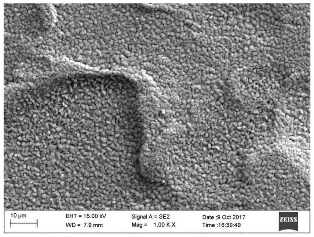 A laboratory simulating phosphating method for the production line of quenched steel plates for automobiles