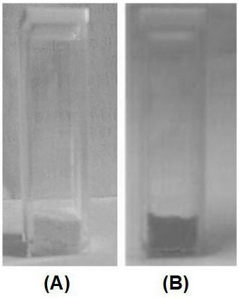 Preparation method of CeCl3:Eu&lt;3+&gt; fluorescent probe array