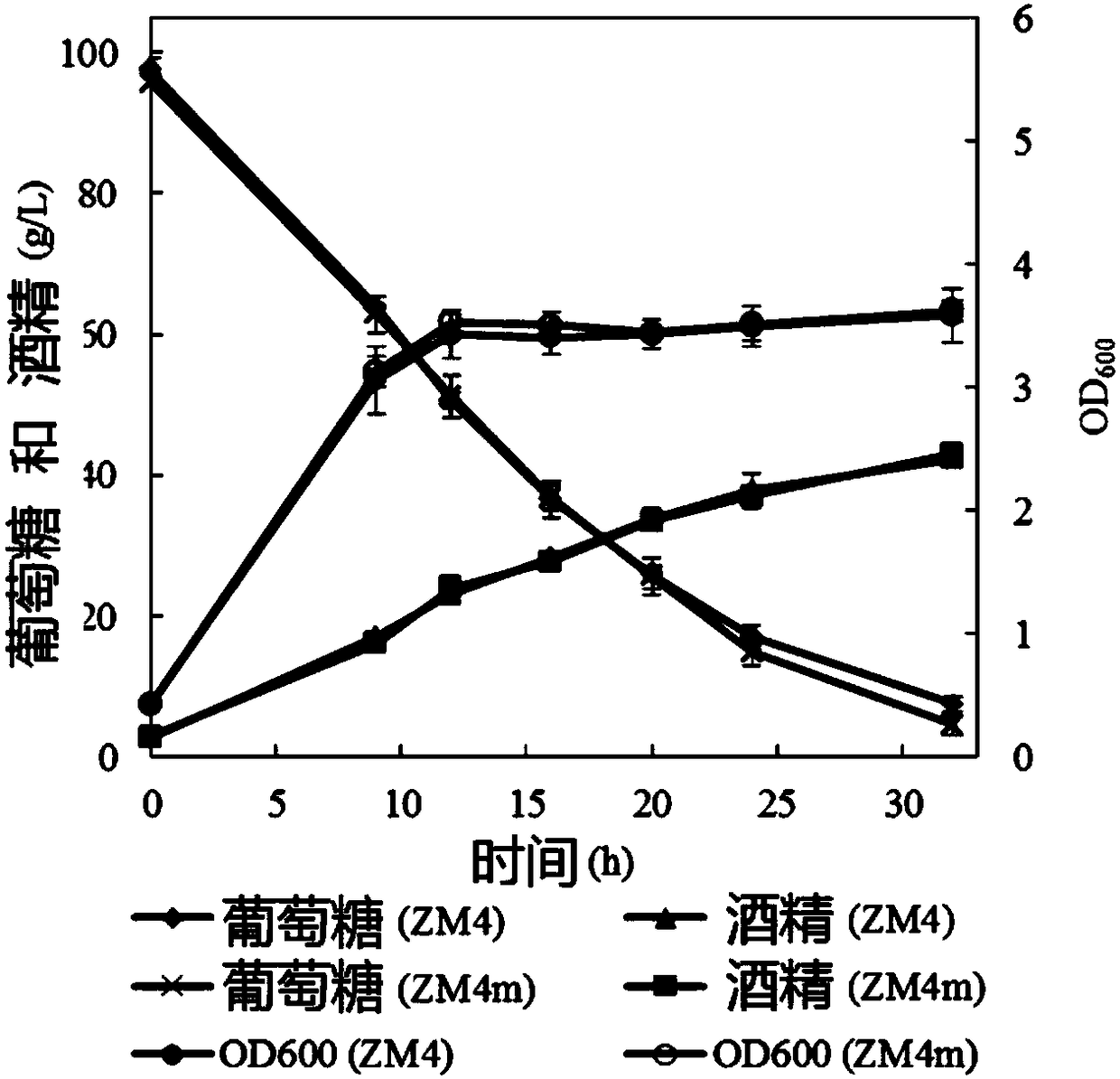 High-conversion-ratio zymomonas mobilis as well as construction method and application thereof