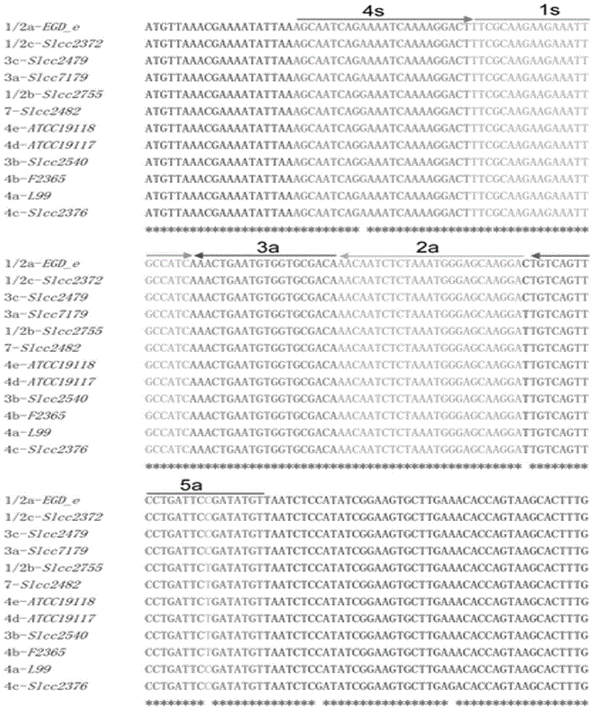 A set of nucleotide sequences and its application in the identification of Listeria monocytogenes