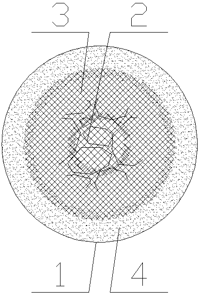 Cat litter and preparation method thereof