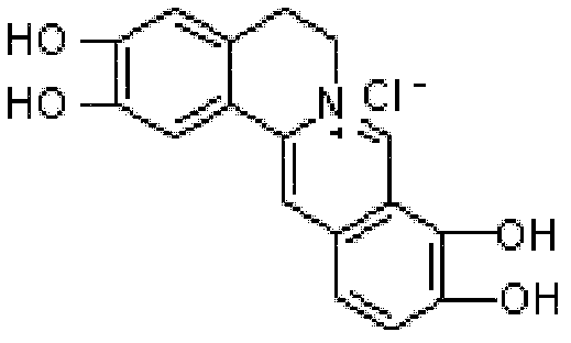 The preparation method of palmatine