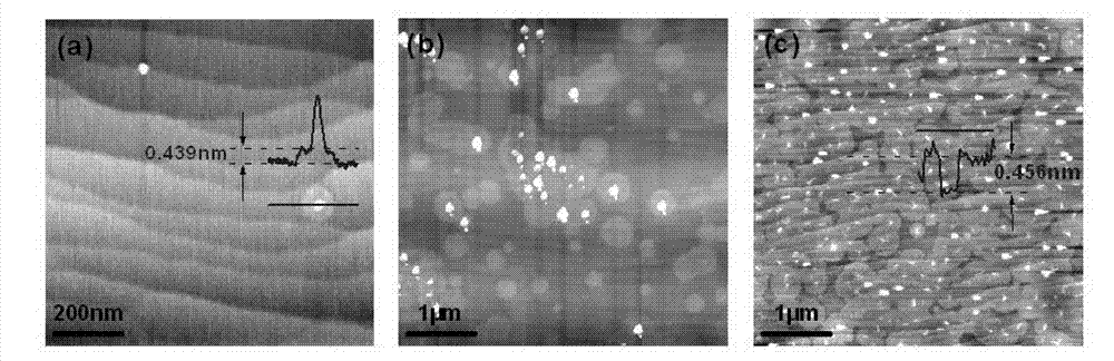 Method for growing large-area graphene on insulating substrate