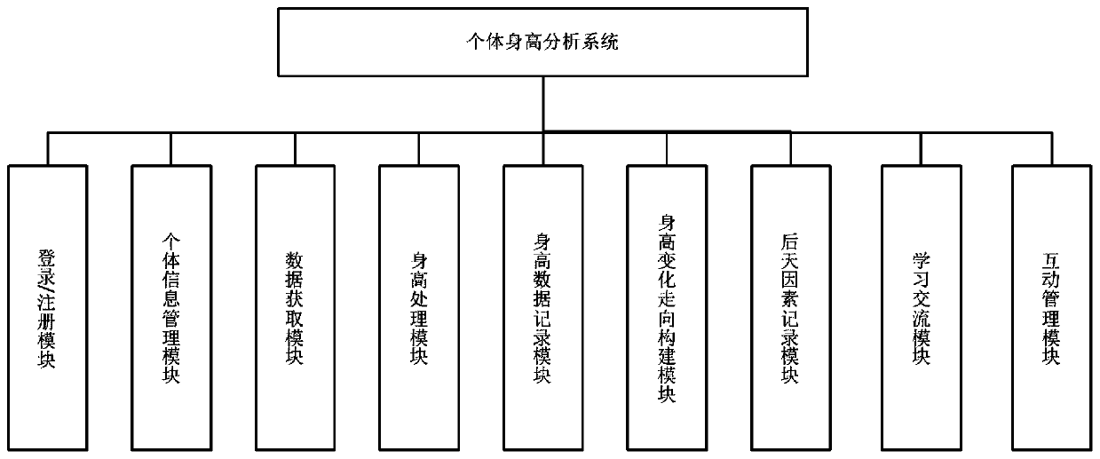 Individual height analysis method and system, readable storage medium and terminal