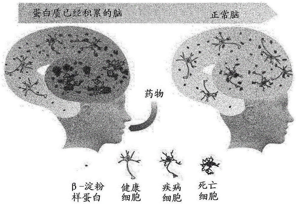 Diagnostic kit for diagnosing disorders or diseases related to abnormal protein aggregation or misfolding of protein using dissolution of protein aggregates