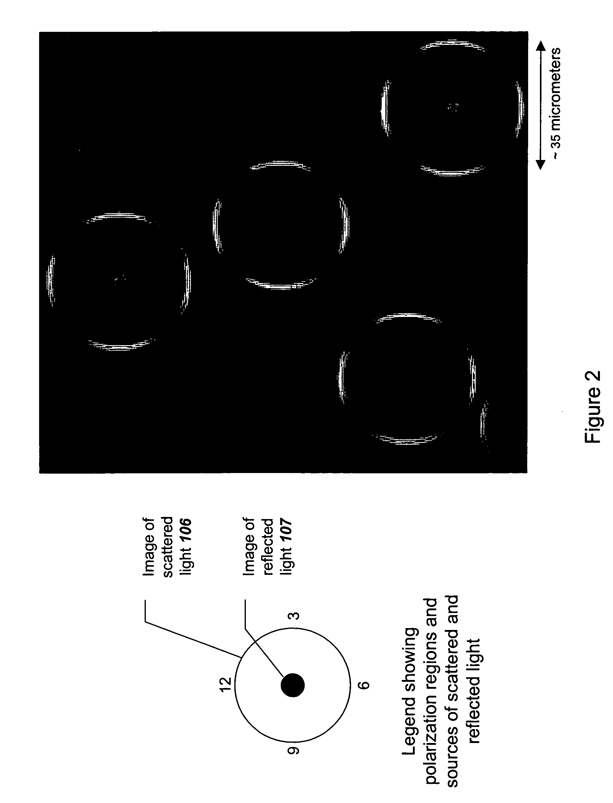 Sol-gel coated glass microspheres for use in bioassay