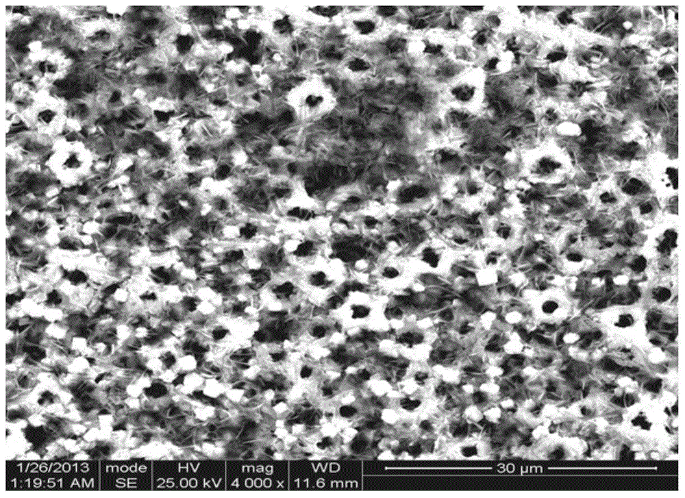 A kind of preparation method and application of titanium or titanium alloy surface wear-resistant and bacteriostatic bioactive ceramic membrane