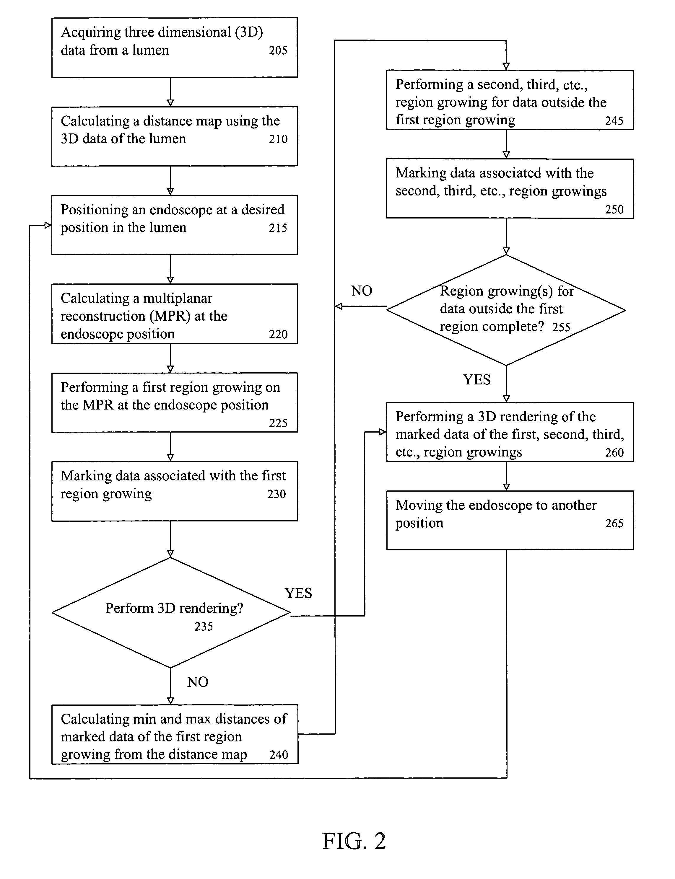 System and method for performing a virtual endoscopy