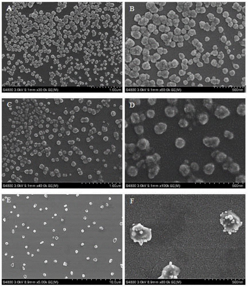 Liposome-modified spermine derivative and liposome prepared by derivative