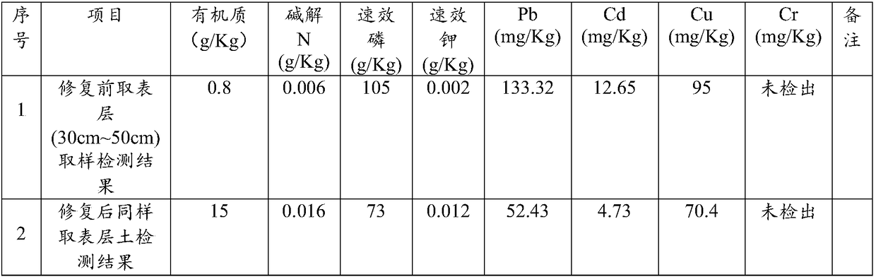 In-situ ecological remediation method for phosphate tailings