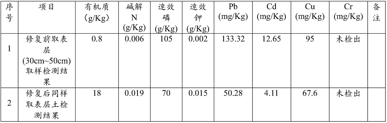 In-situ ecological remediation method for phosphate tailings