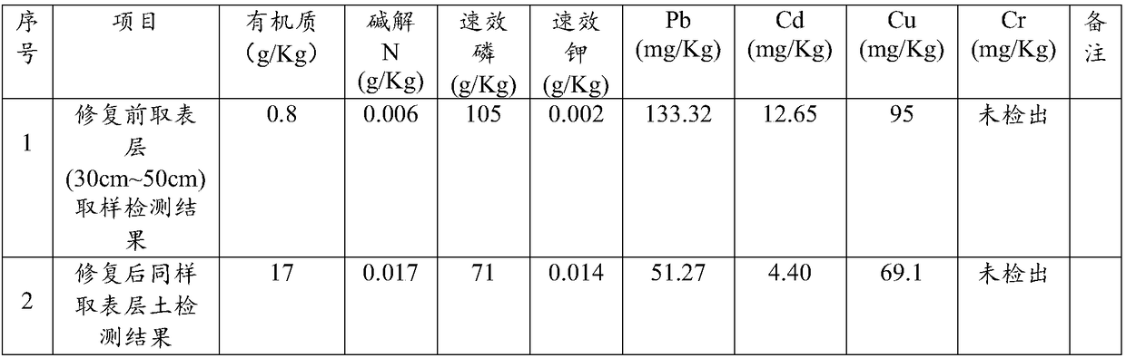 In-situ ecological remediation method for phosphate tailings