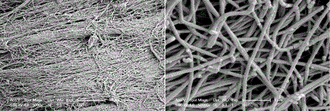 A method for making a guided tissue regeneration membrane with an absorbable antibacterial bone-like structure