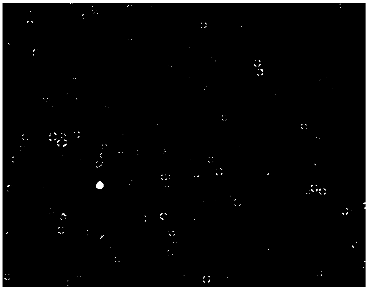 Composition containing ceramide liposome, and application thereof