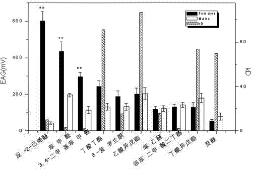 Citrus fruit fly odorant binding protein-based attractant screening method