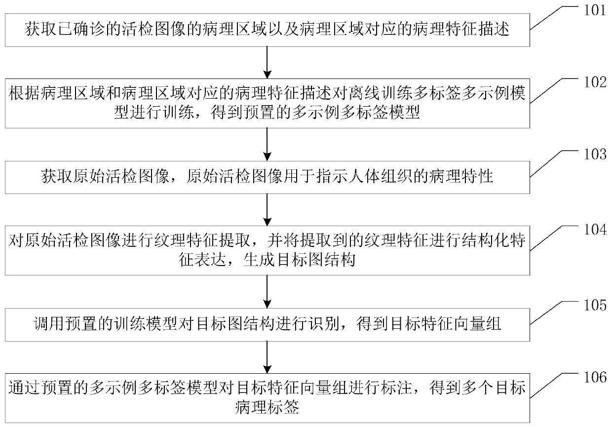 Multi-label multi-example image detection method and device, equipment and storage medium