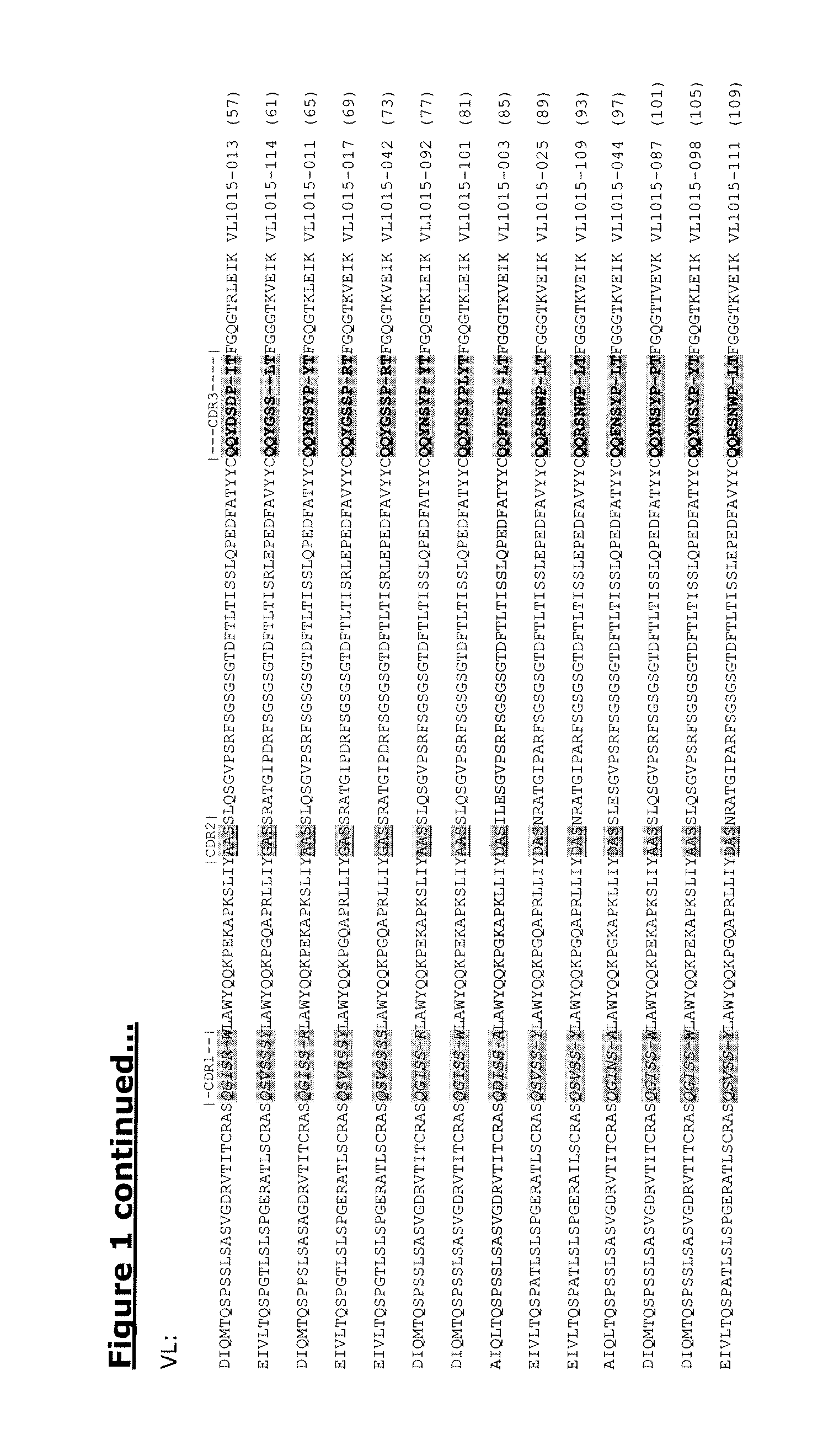 Human antibodies against tissue factor