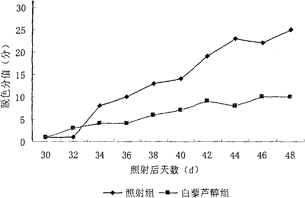 Application of resveratrol in preparing medicament for preventing and treating radiation induced depigmentation skin disease