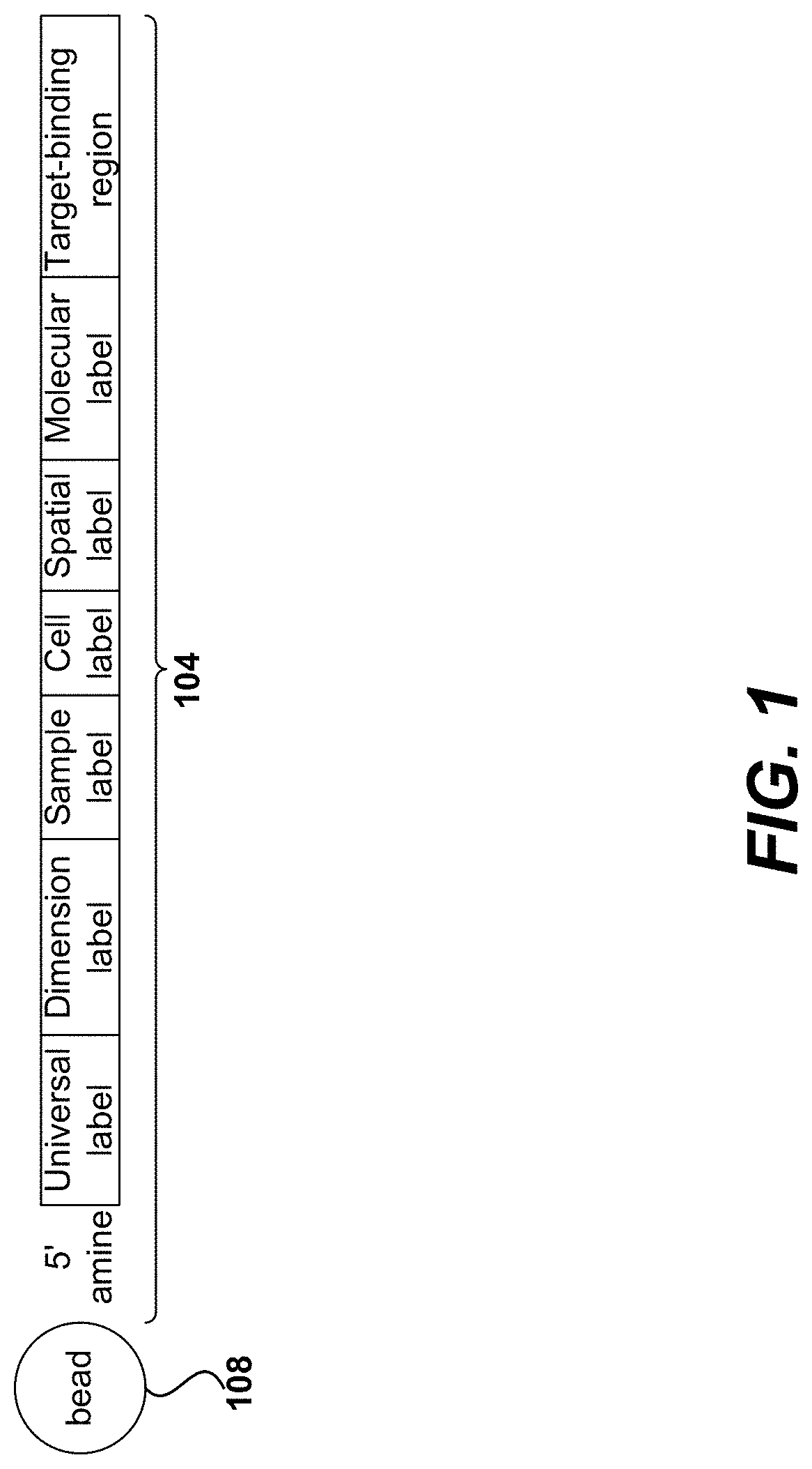 Multiplexed single cell immunoassay