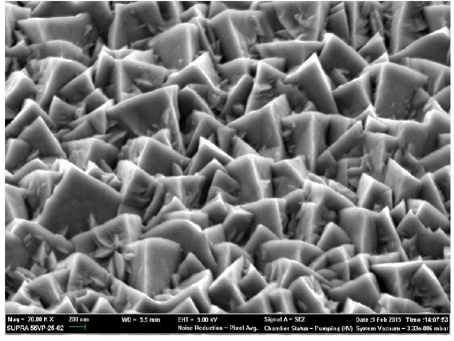 Zinc oxide photo-anode film and preparation method and application thereof