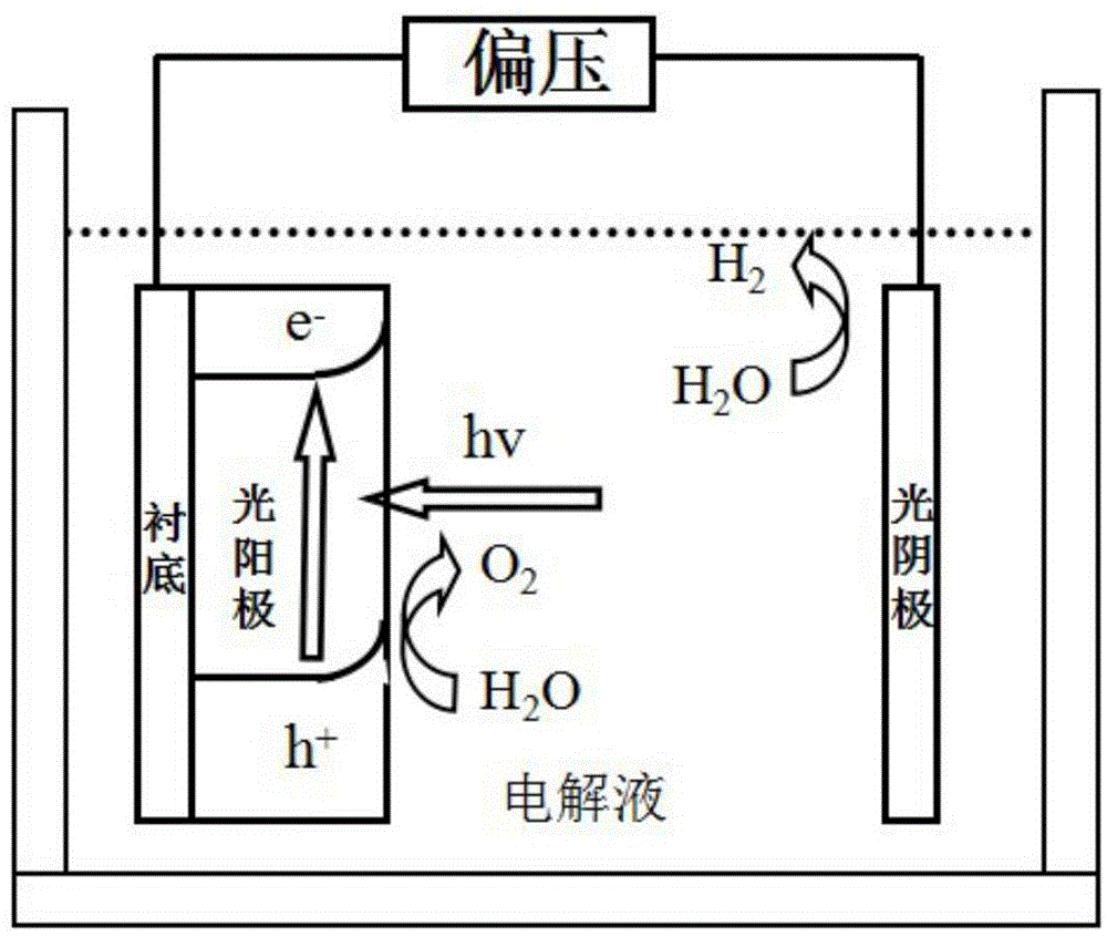 Zinc oxide photo-anode film and preparation method and application thereof