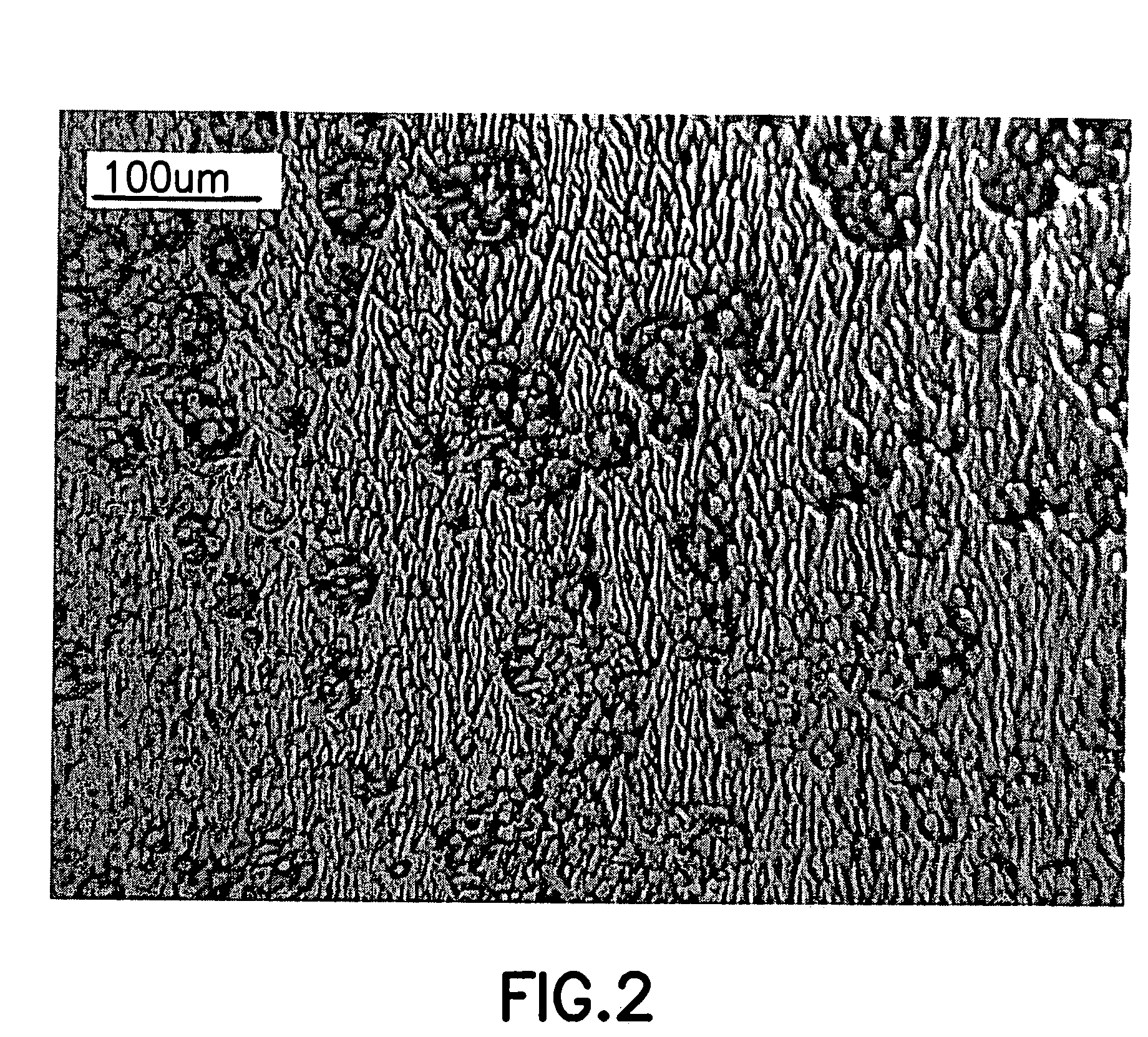 Vicinal gallium nitride substrate for high quality homoepitaxy