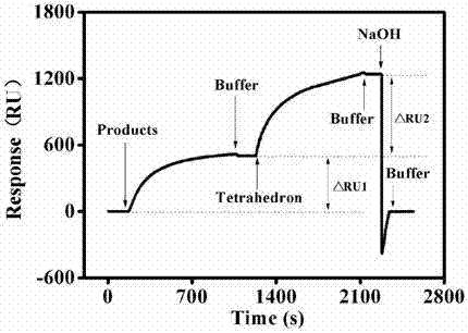 SPR (surface plasma resonance) Sensor for detecting HIV (human immunodeficiency virus) related genes and preparation and application thereof