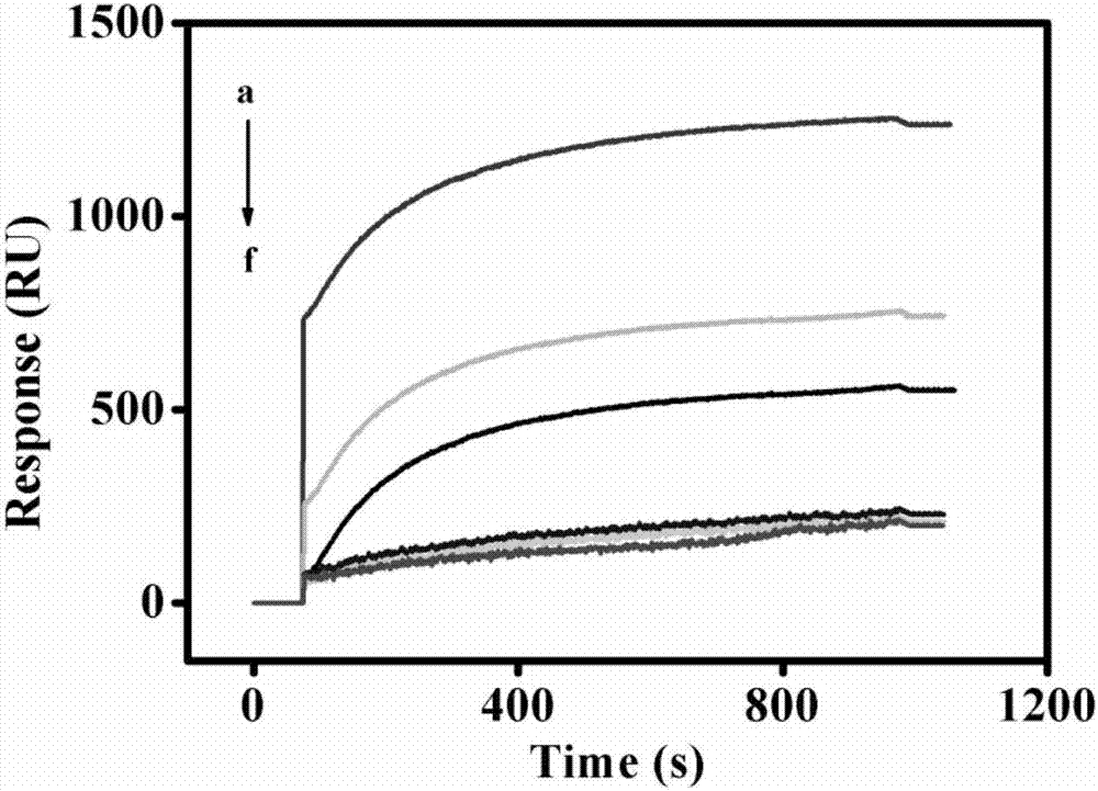 SPR (surface plasma resonance) Sensor for detecting HIV (human immunodeficiency virus) related genes and preparation and application thereof