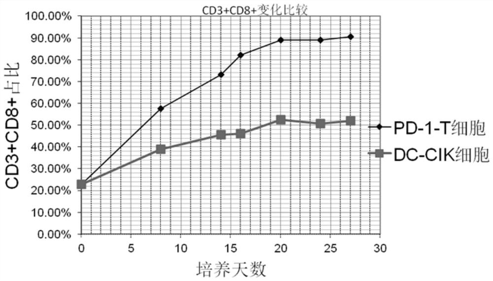 A method for in vitro culture of T cells loaded with PD-1 antibody, its cell preparation and its application