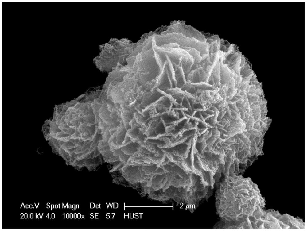 Polypyrrole-coated ferroferric oxide nanoflower wave-absorbing material as well as preparation method and application thereof