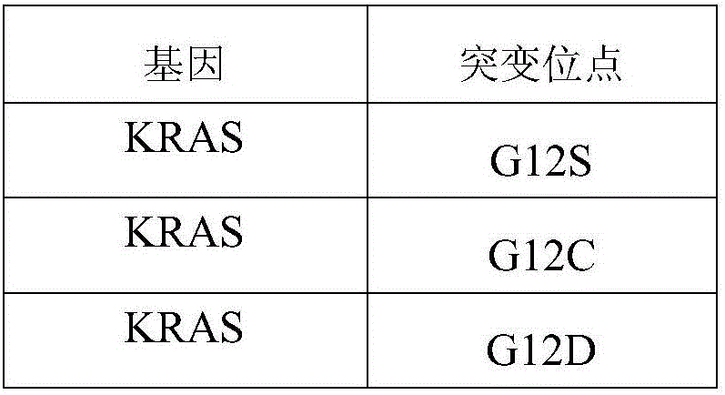 Standard product for detection of clinical drug-resistant genes in intestinal cancer and application thereof